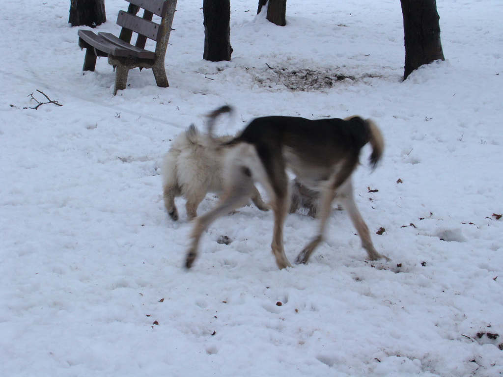 Anička 12.1.2008