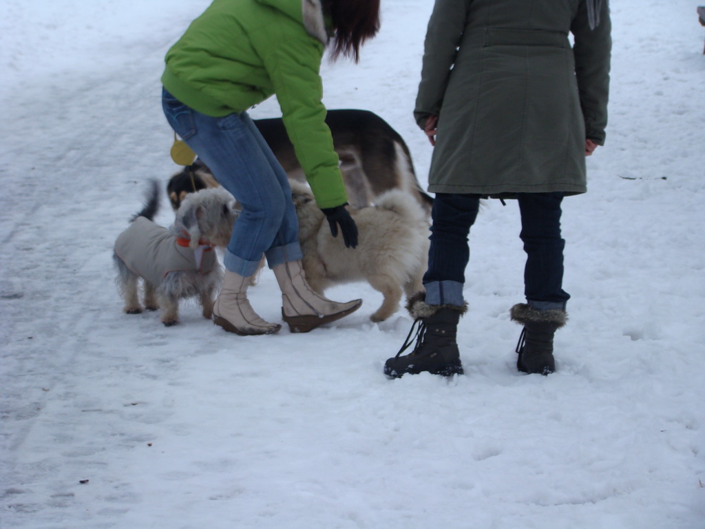 Anička 12.1.2008