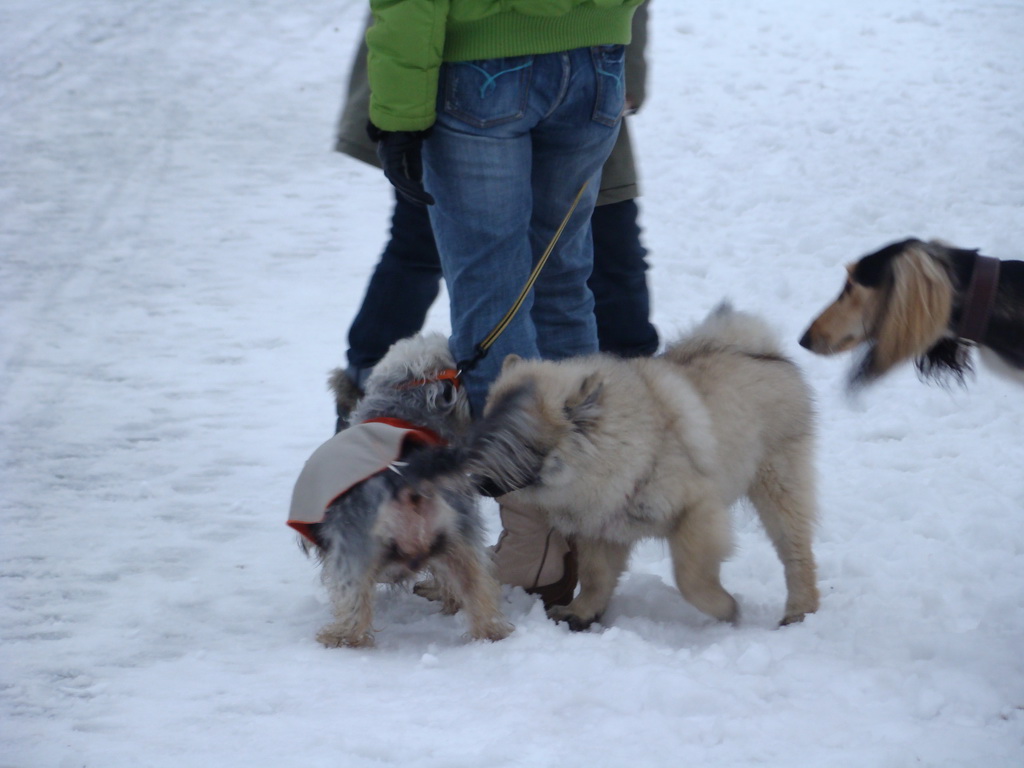 Anička 12.1.2008