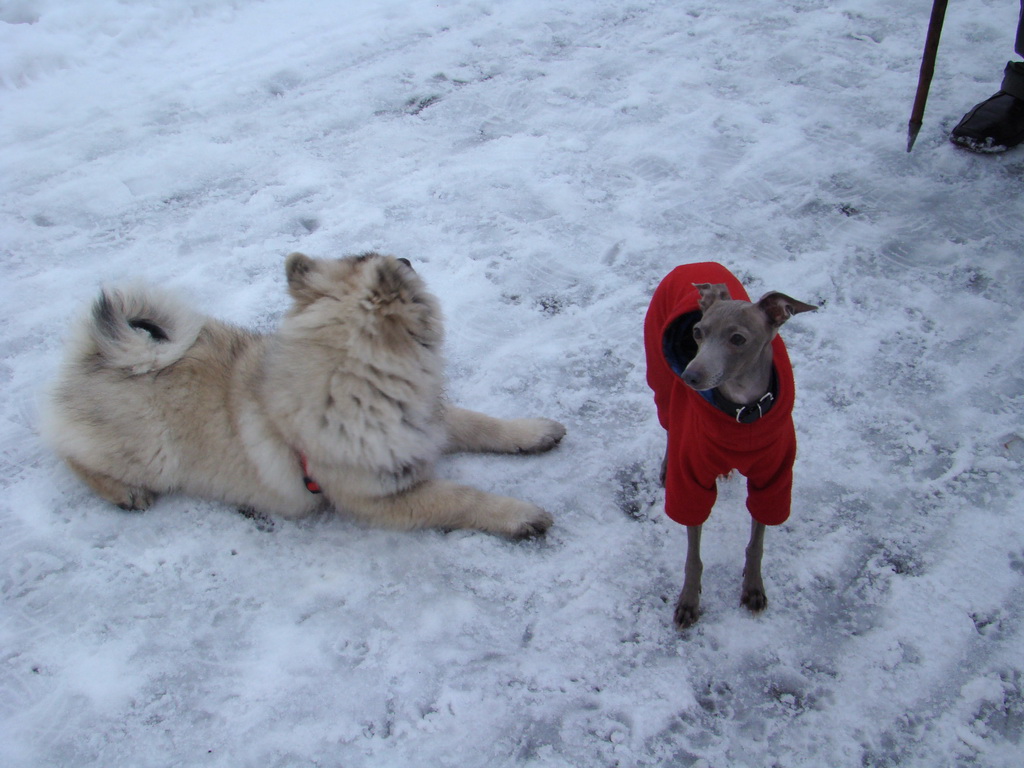 Anička 12.1.2008