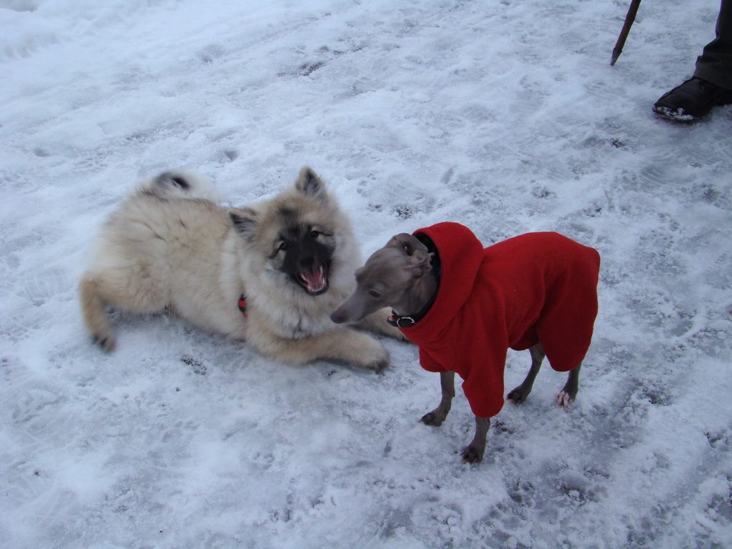 Anička 12.1.2008