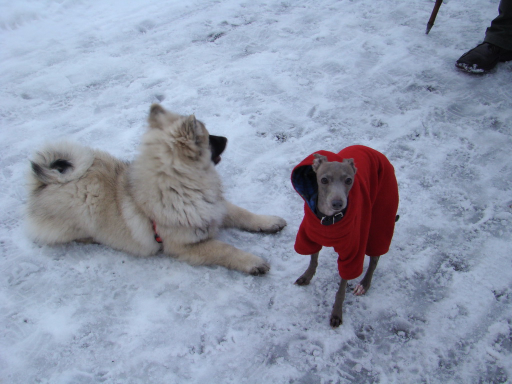 Anička 12.1.2008