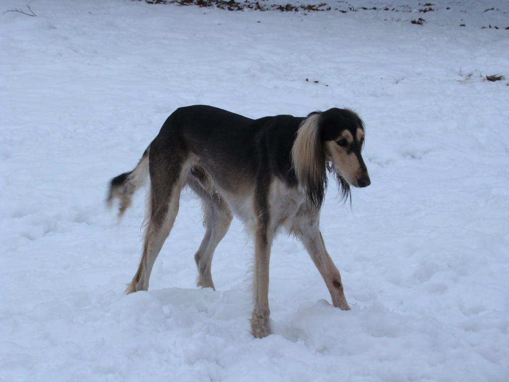 Anička 12.1.2008