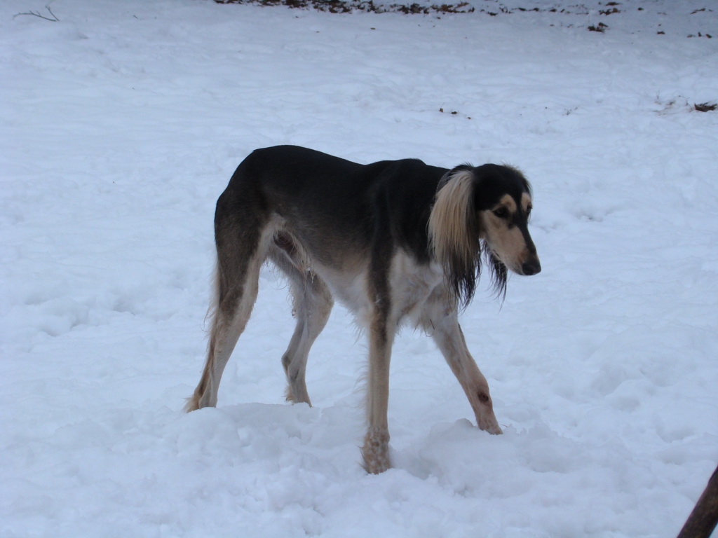 Anička 12.1.2008