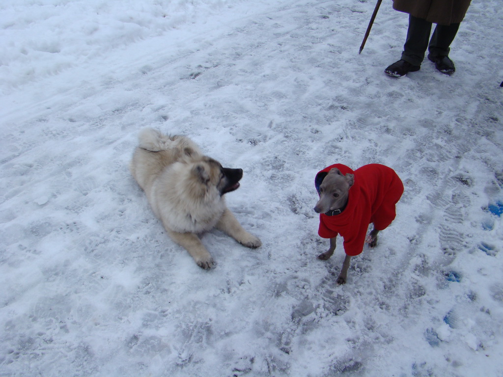 Anička 12.1.2008