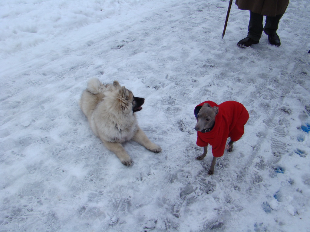 Anička 12.1.2008