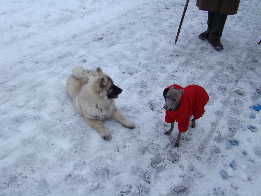 Anička 12.1.2008