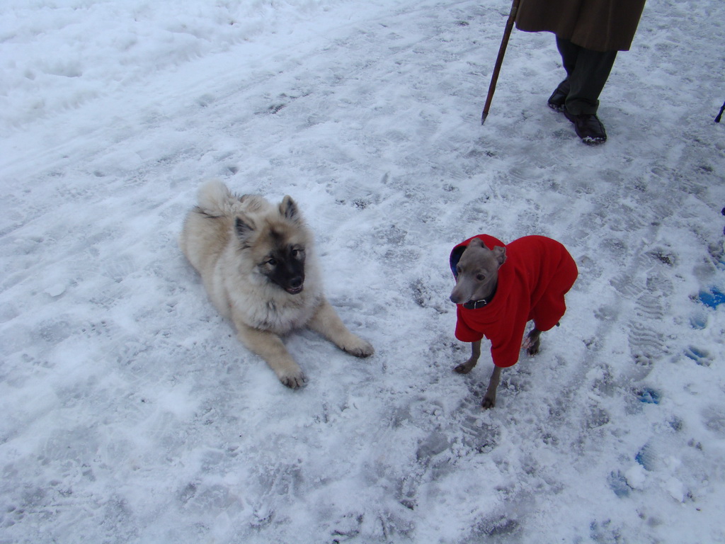 Anička 12.1.2008