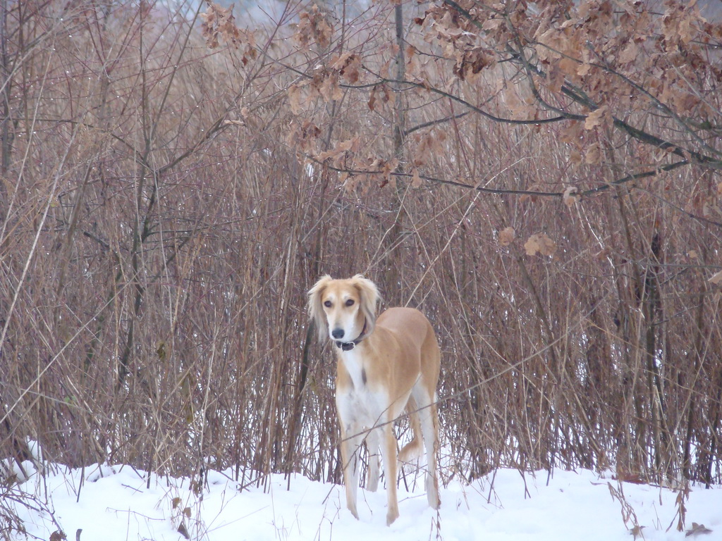 Anička 12.1.2008