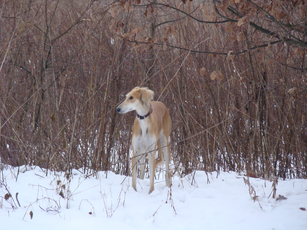 Anička 12.1.2008