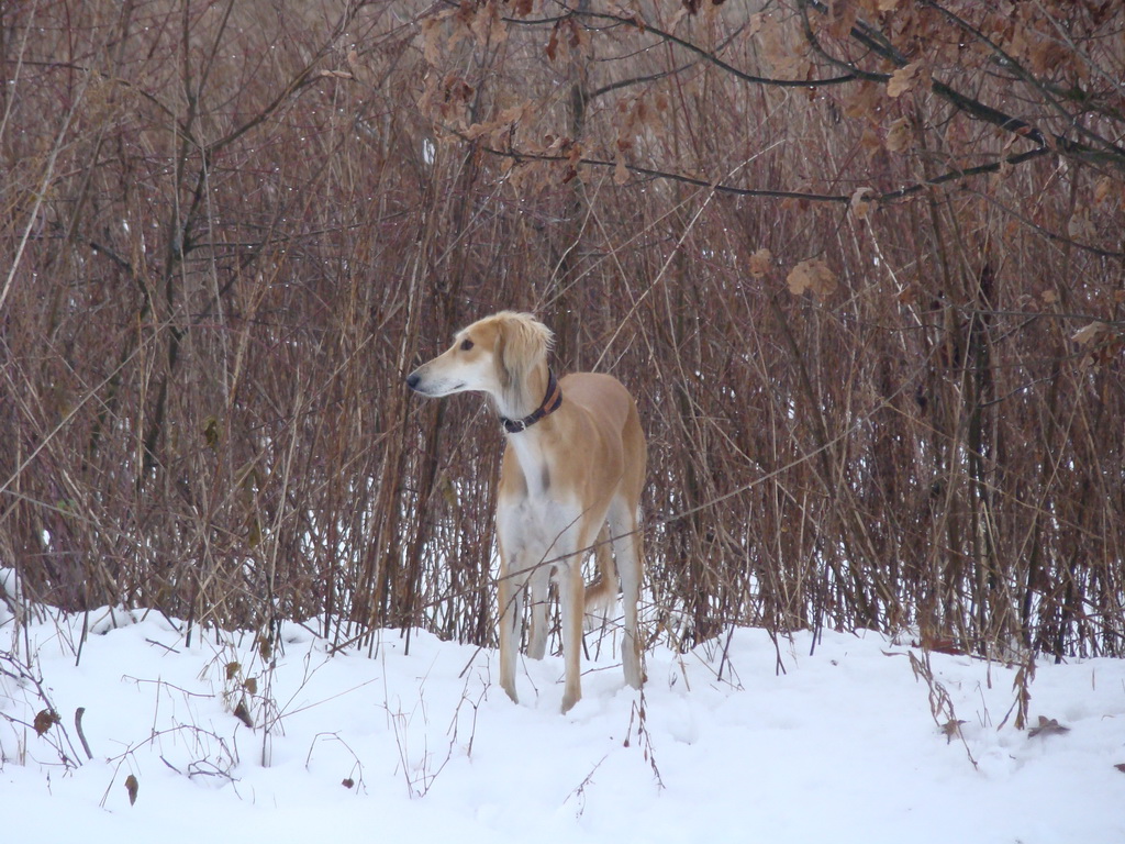 Anička 12.1.2008