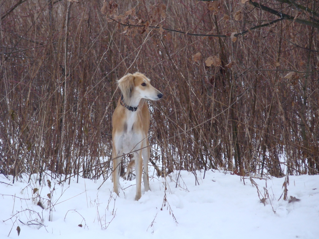 Anička 12.1.2008