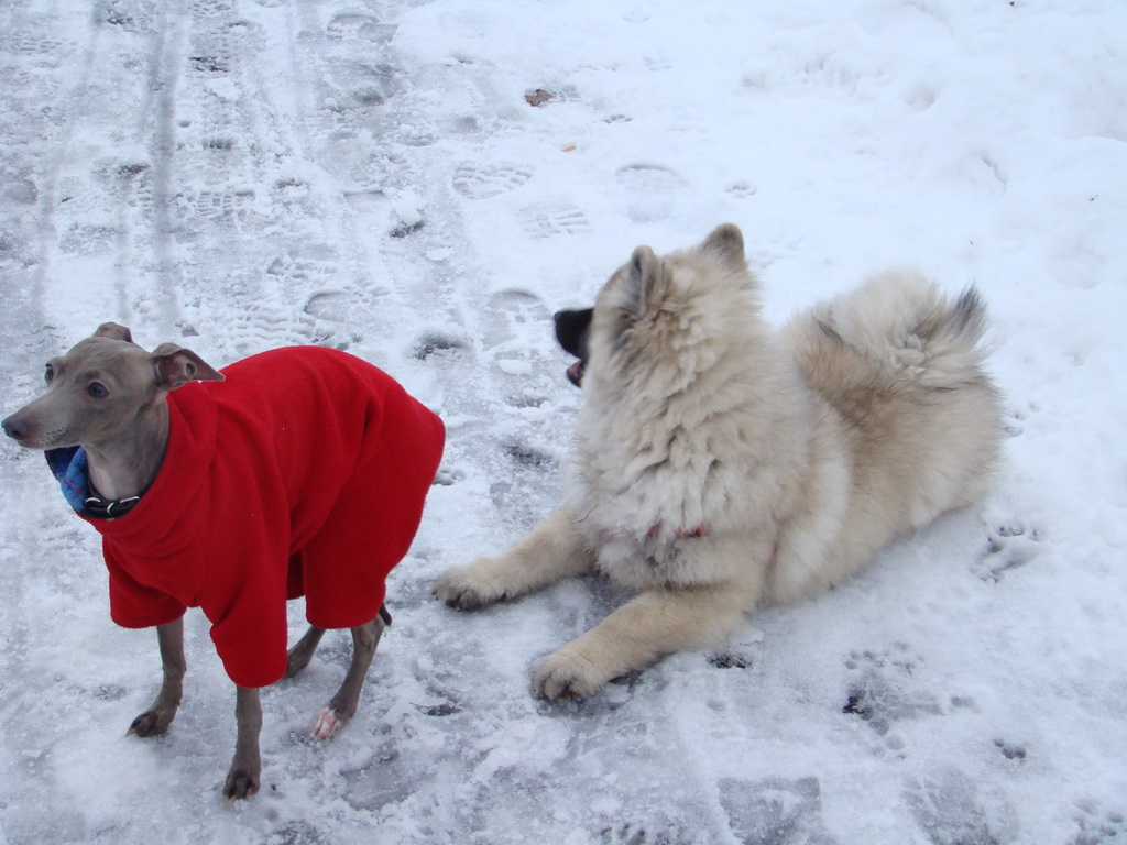 Anička 12.1.2008