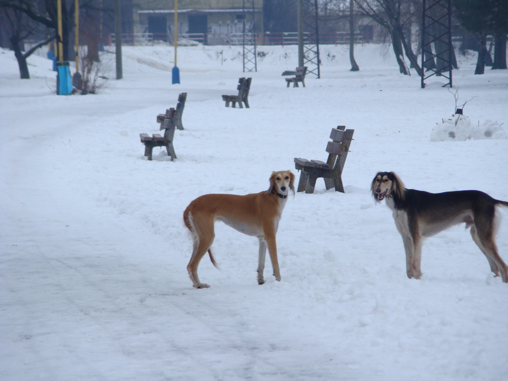 Anička 12.1.2008