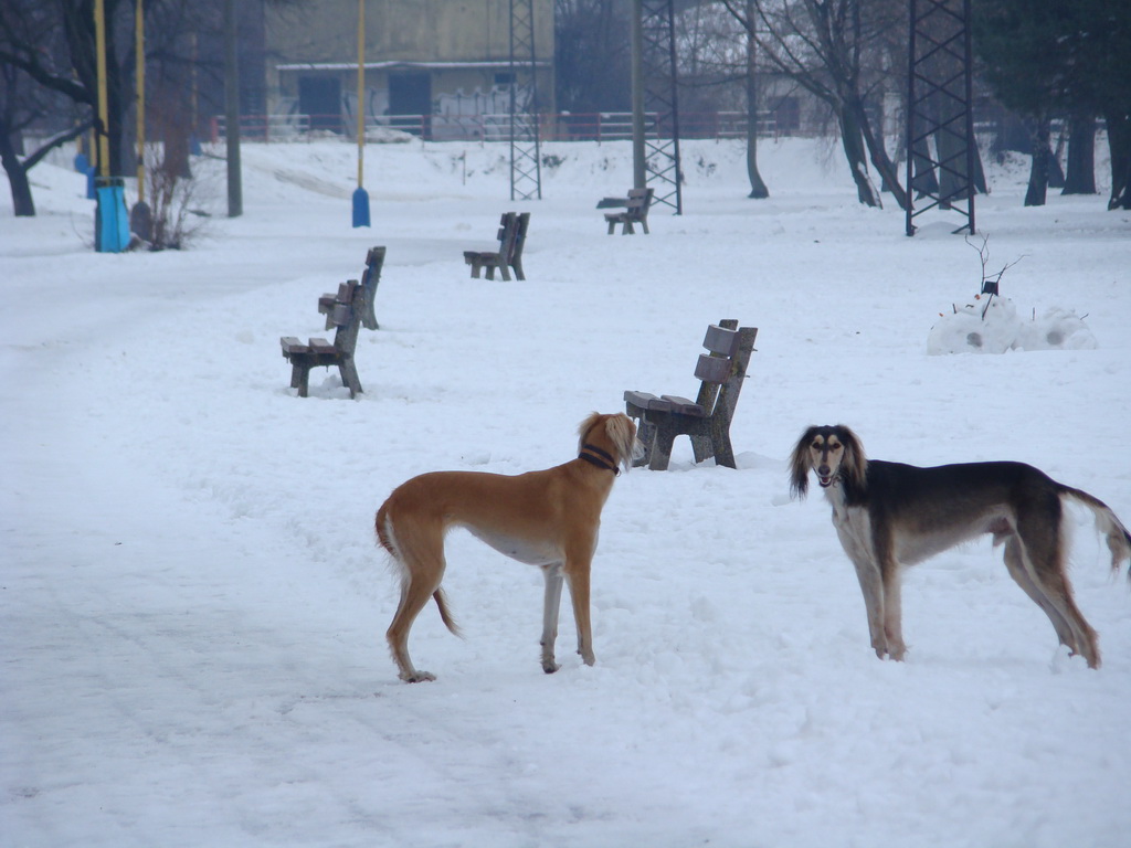 Anička 12.1.2008