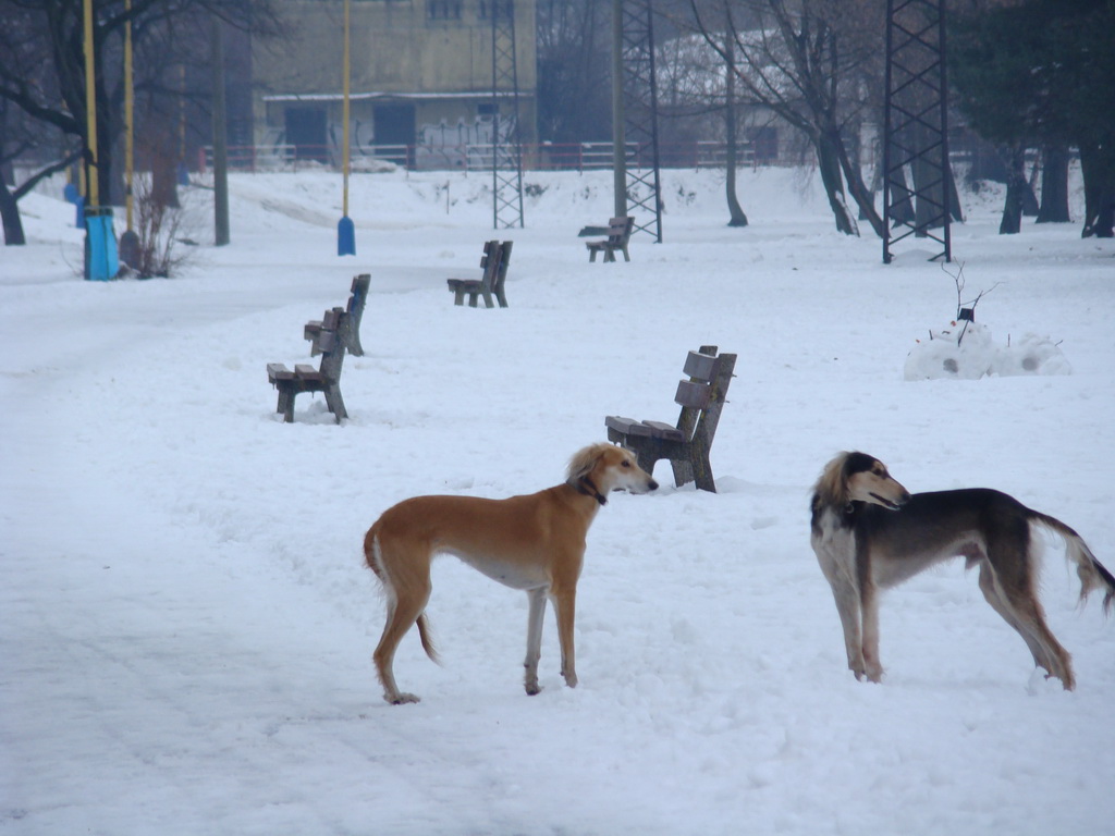 Anička 12.1.2008