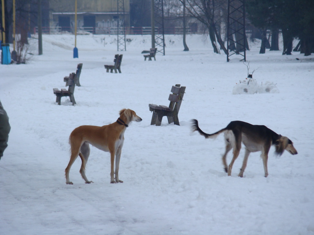 Anička 12.1.2008