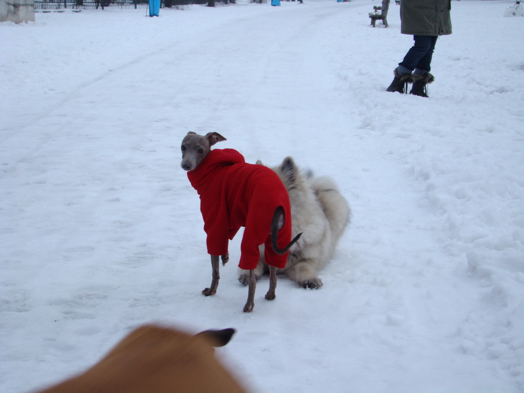 Anička 12.1.2008