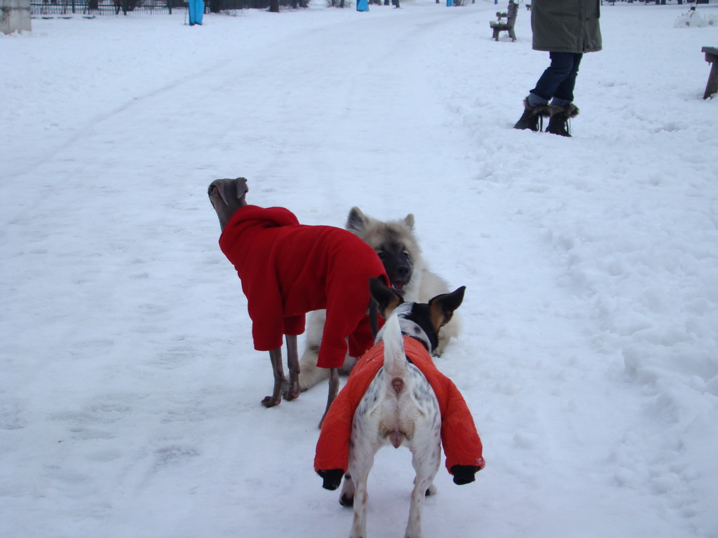 Anička 12.1.2008