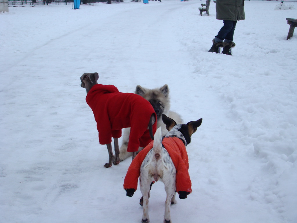 Anička 12.1.2008