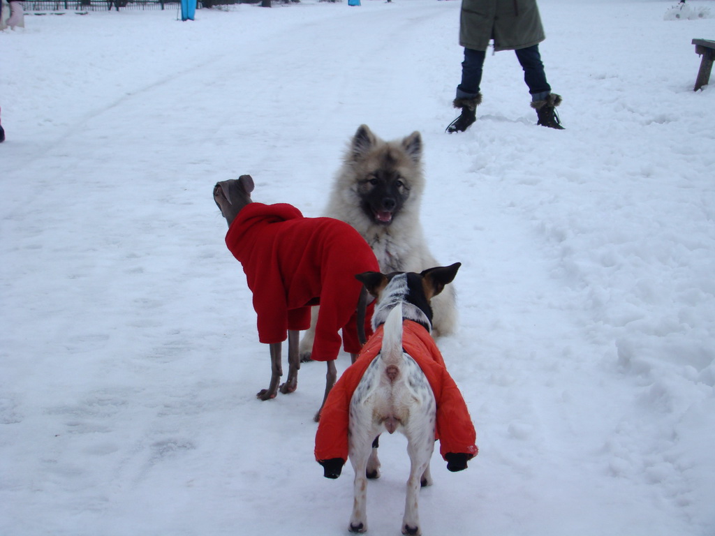 Anička 12.1.2008