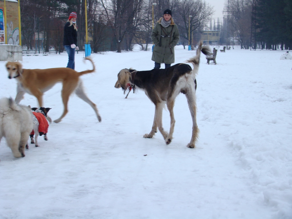 Anička 12.1.2008