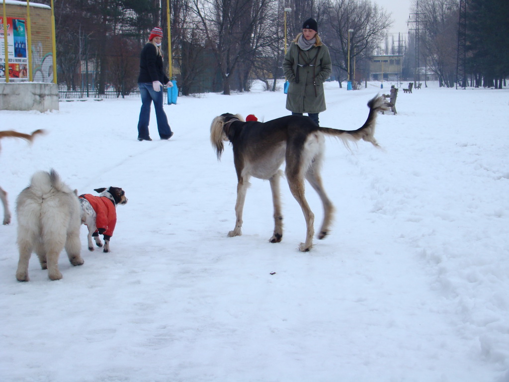 Anička 12.1.2008