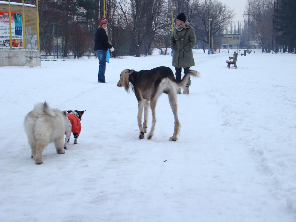 Anička 12.1.2008