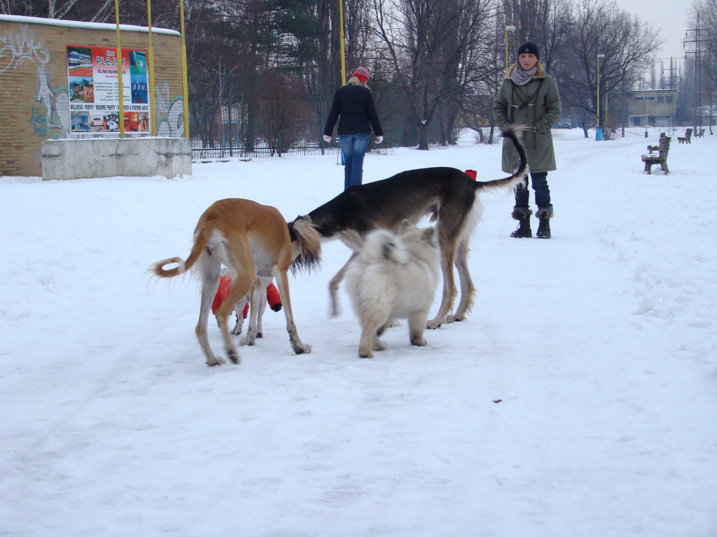 Anička 12.1.2008