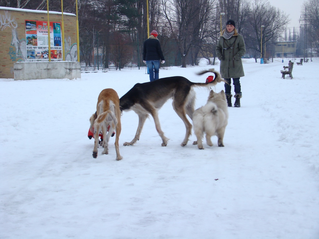 Anička 12.1.2008