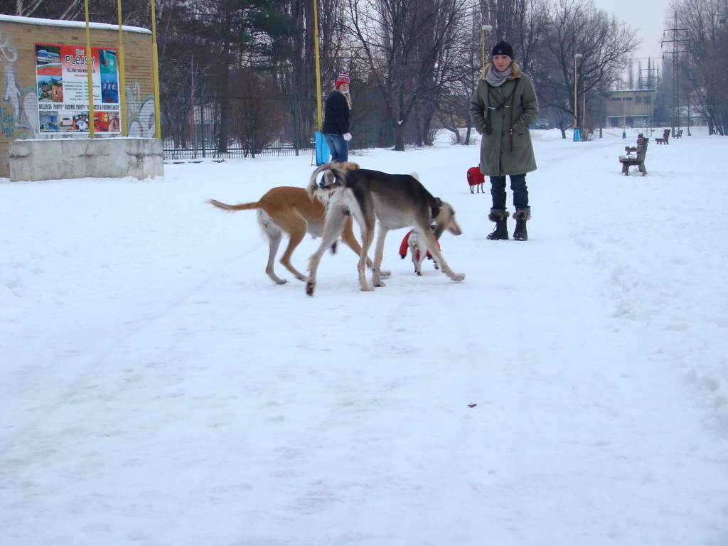 Anička 12.1.2008