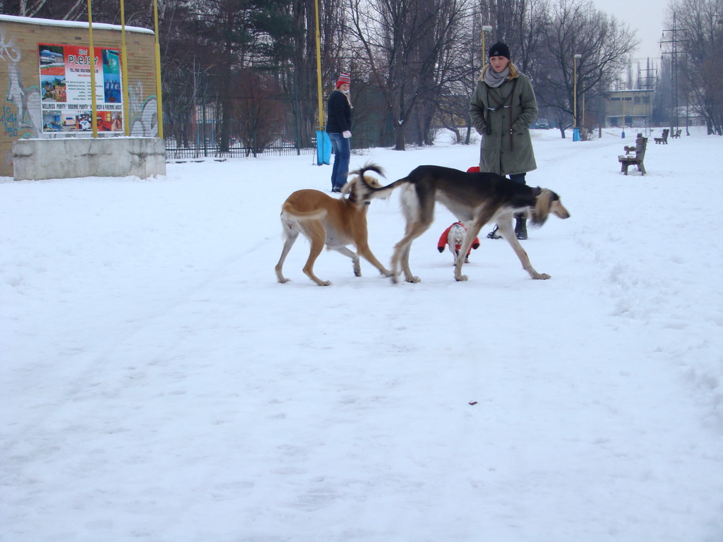 Anička 12.1.2008