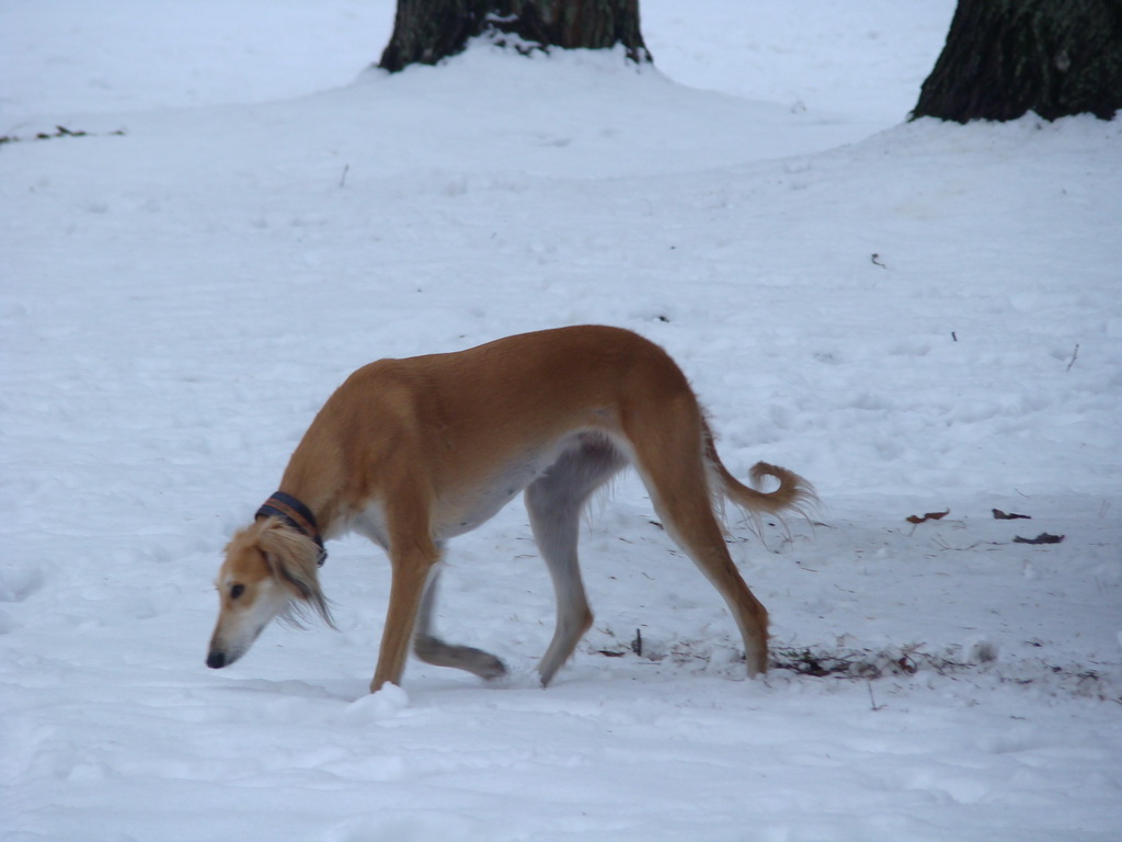 Anička 12.1.2008