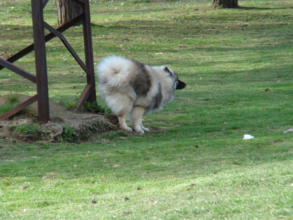 Anička 17.04.2008