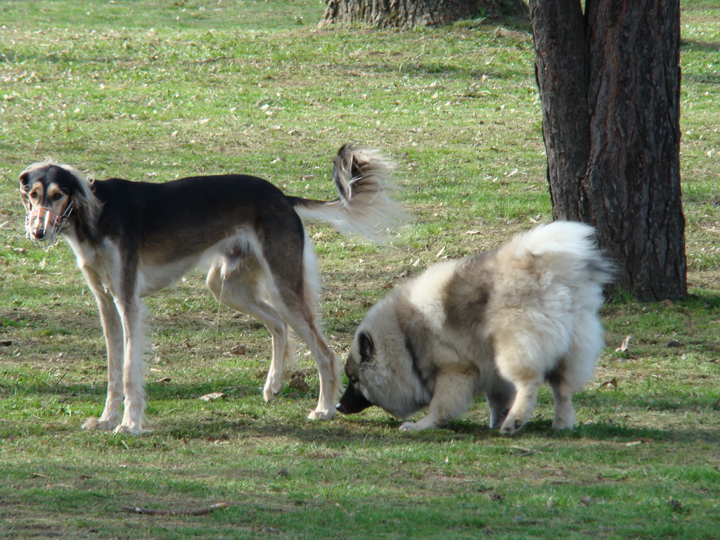 Anička 17.04.2008