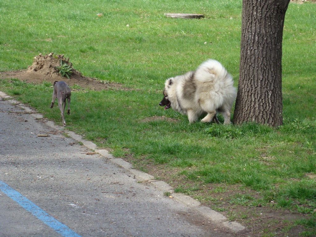 Anička 17.04.2008