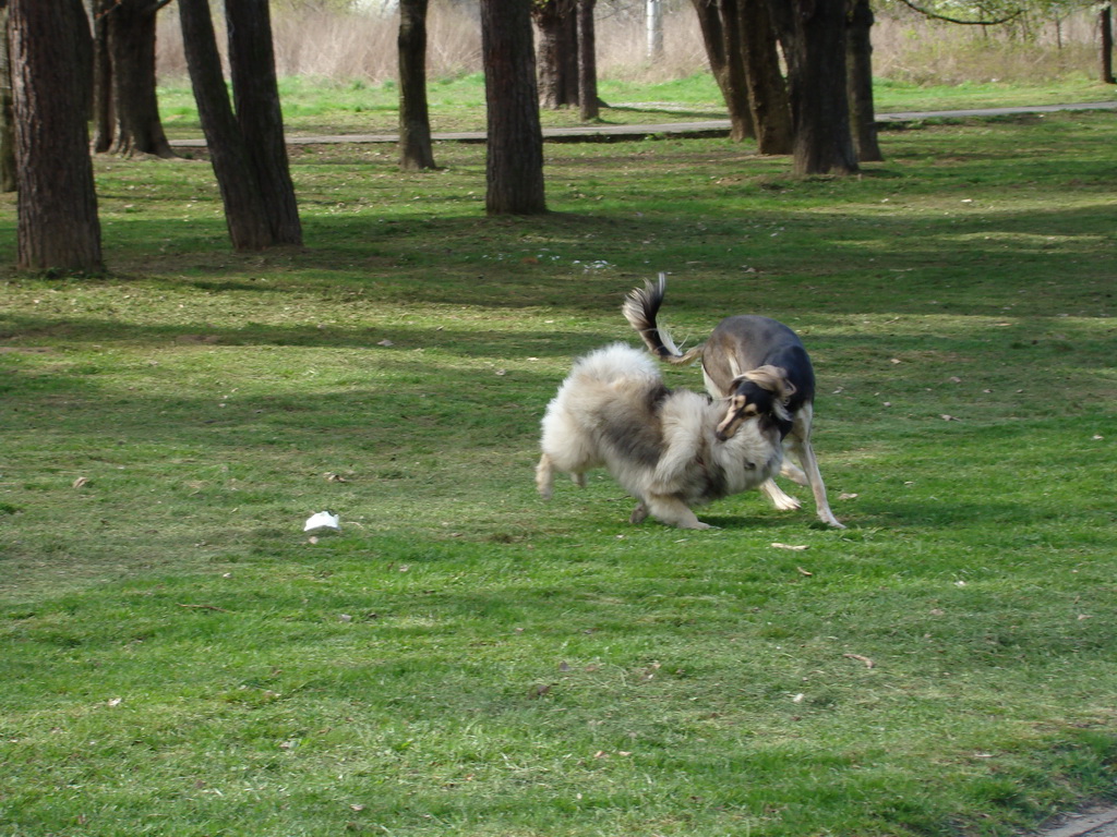 Anička 17.04.2008