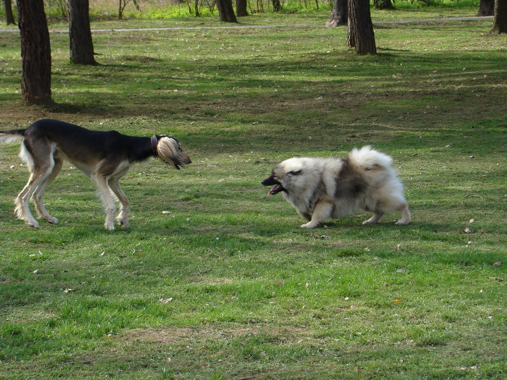 Anička 17.04.2008