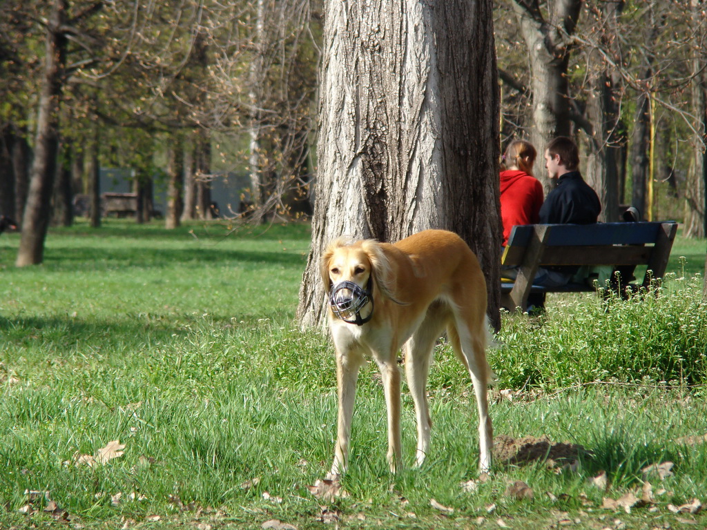 Anička 17.04.2008