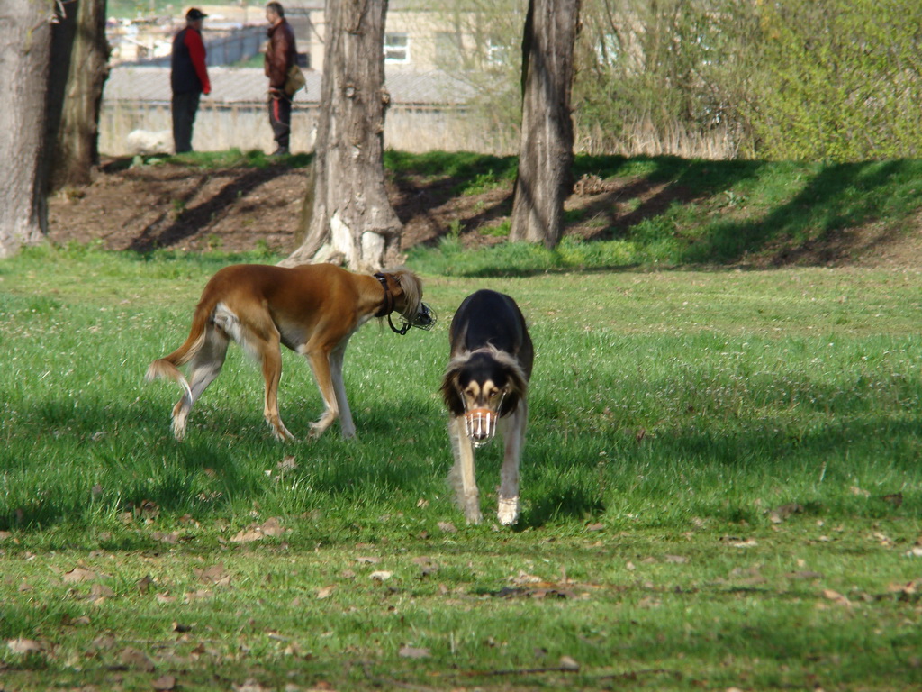 Anička 17.04.2008