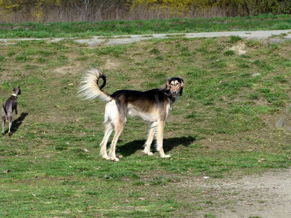 Anička 17.04.2008