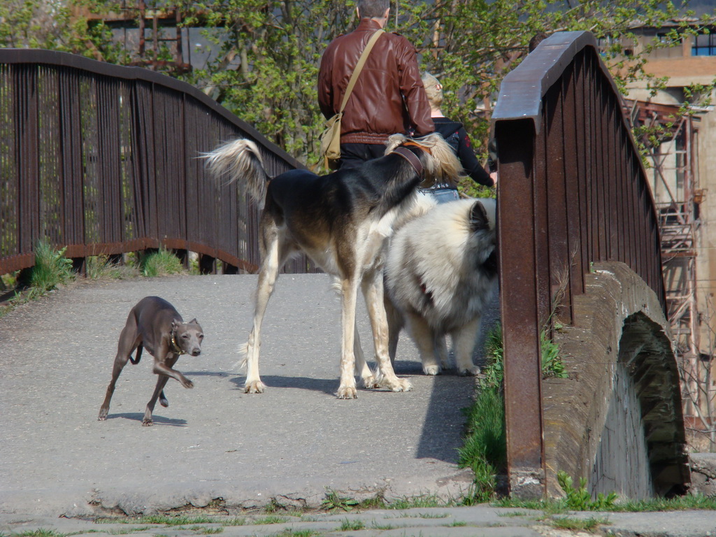 Anička 17.04.2008