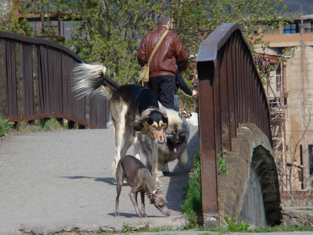 Anička 17.04.2008