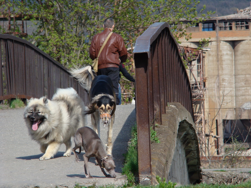 Anička 17.04.2008