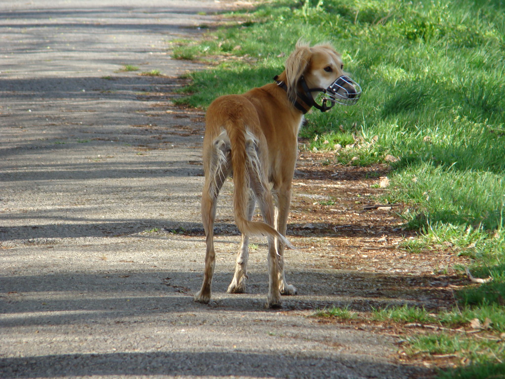 Anička 17.04.2008