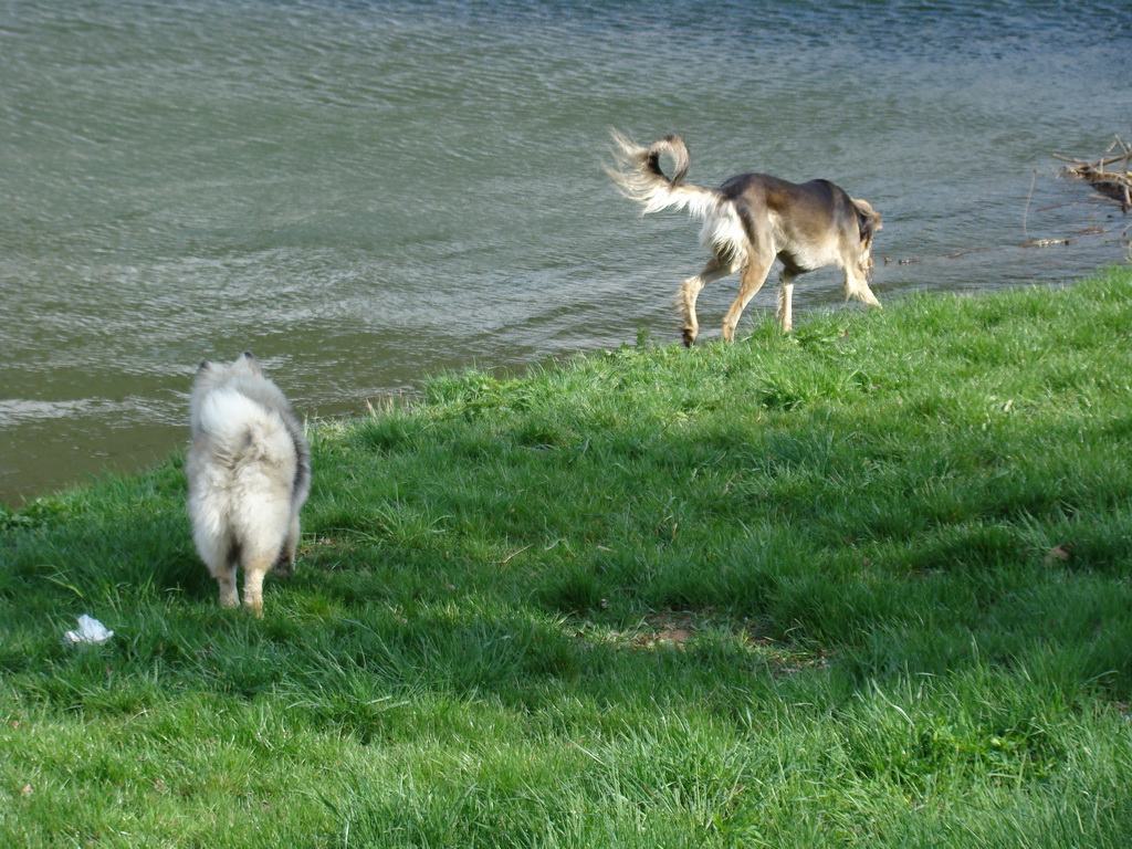 Anička 17.04.2008