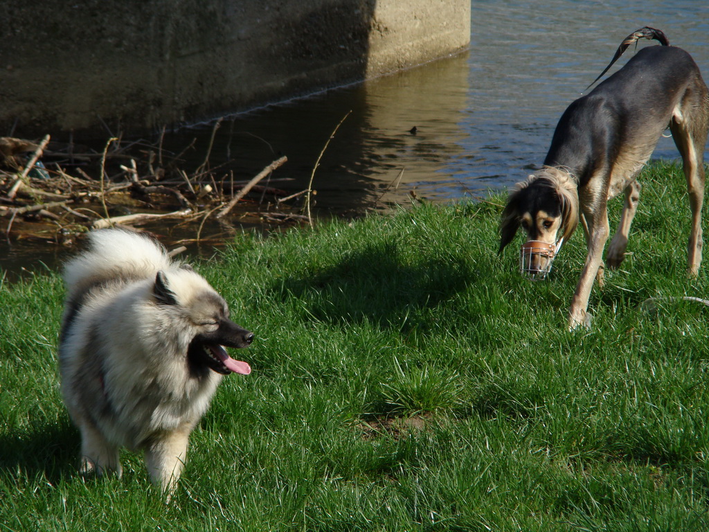 Anička 17.04.2008