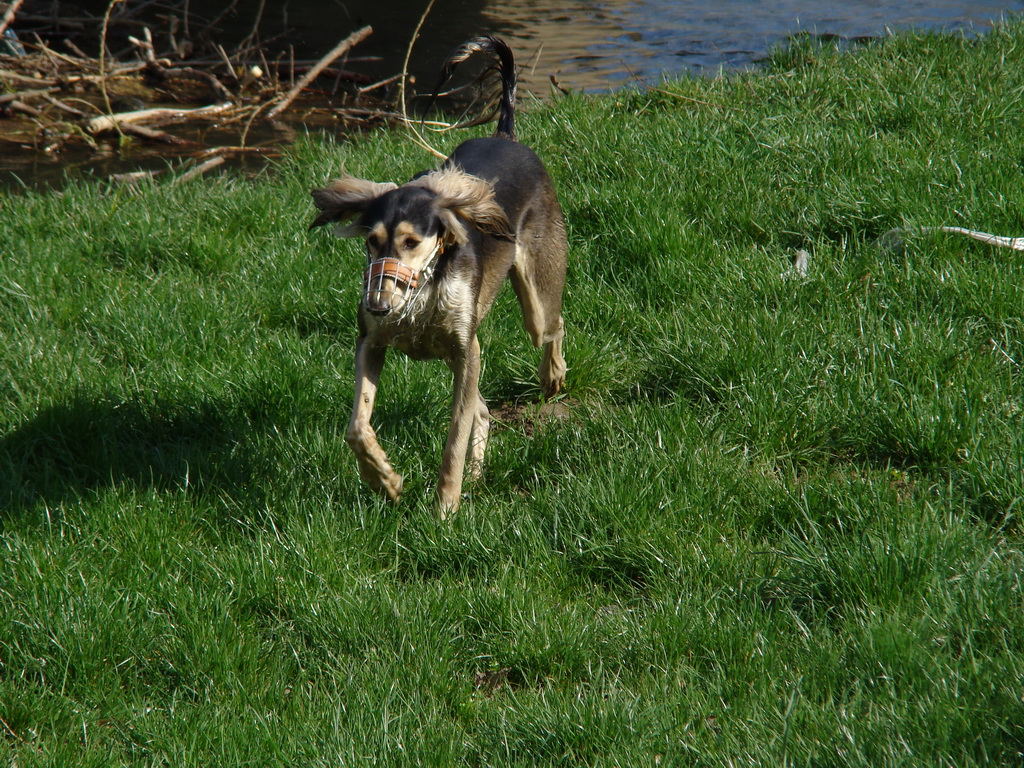 Anička 17.04.2008