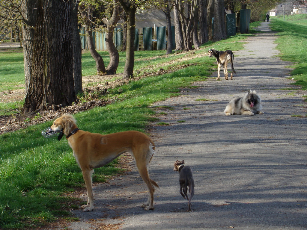 Anička 17.04.2008