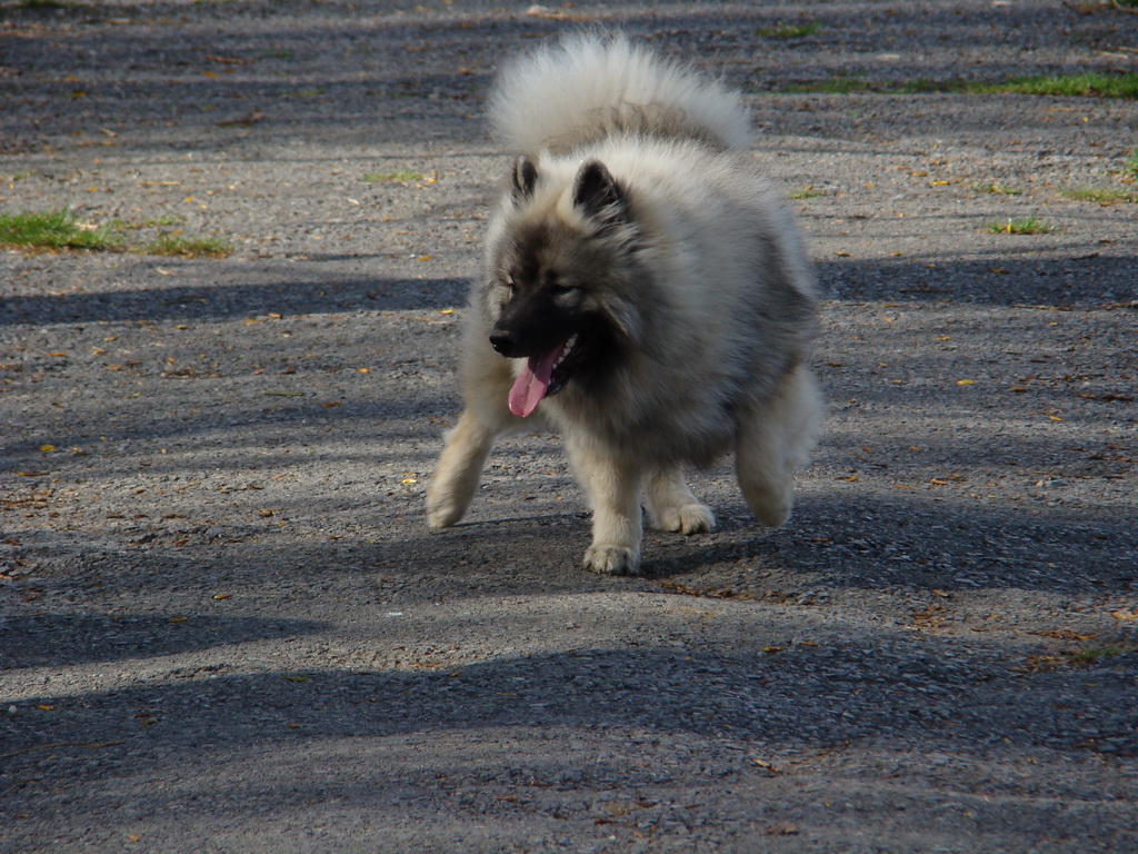 Anička 17.04.2008